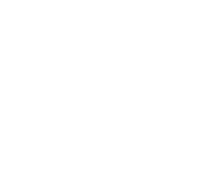 areas auditores